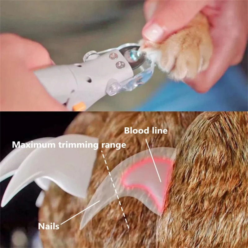 1PC Pet Nail Clipper with LED  - Model Kit Clipper ulasan dan harga